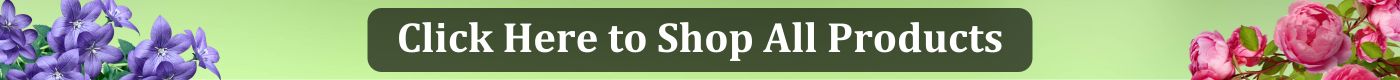 Shop All Products