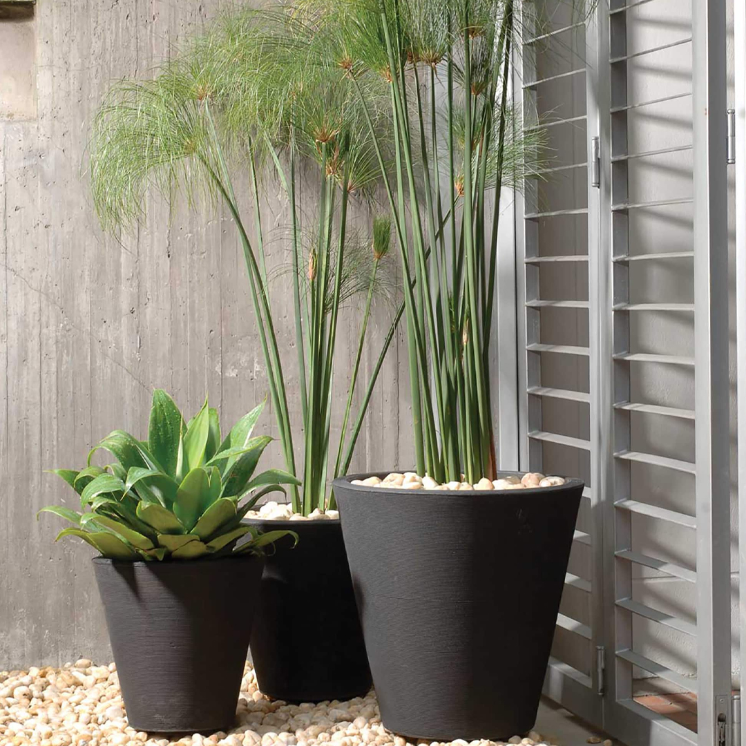 Madison Modern Pot